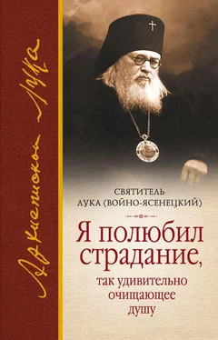 Святитель Лука Крымский (Войно-Ясенецкий) Я полюбил страдание, так удивительно очищающее душу (сборник) обложка книги