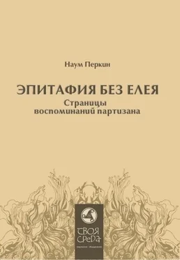 Наум Перкин Эпитафия без елея. Страницы воспоминаний партизана обложка книги