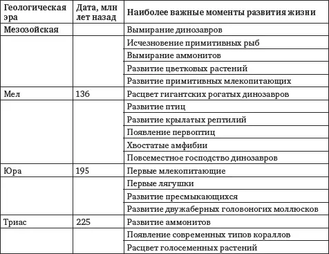 Кайнозойская эра65 млн10 тыс лет назад имеет принципиальное значение В - фото 4