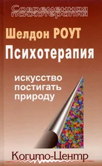 Шелдон Роут - Психотерапия. Искусство постигать природу