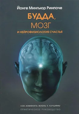 Йонге Мингьюр Ринпоче Будда, мозг и нейрофизиология счастья. Как изменить жизнь к лучшему обложка книги