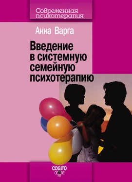 Анна Варга Введение в системную семейную психотерапию обложка книги