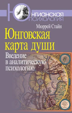 Мюррей Стайн Юнговская карта души. Введение в аналитическую психологию обложка книги