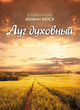 Блаженный Иоанн Мосх Луг духовный обложка книги