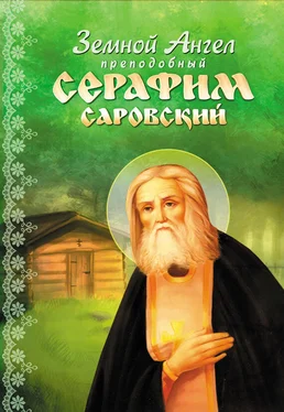Алевтина Окунева Земной Ангел преподобный Серафим Саровский обложка книги