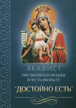 Сборник Акафист Пресвятой Богородице в честь иконы Ее «Достойно есть» обложка книги