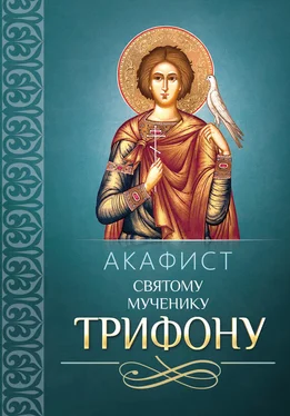 Сборник Акафист Трифону Святому мученику обложка книги