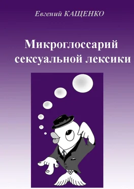 Евгений Кащенко Микроглоссарий сексуальной лексики. Термины социокультурной сексологии обложка книги