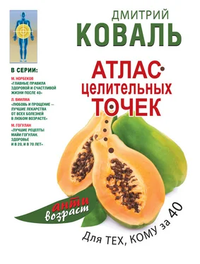 Дмитрий Коваль Атлас целительных точек для тех, кому за 40 обложка книги