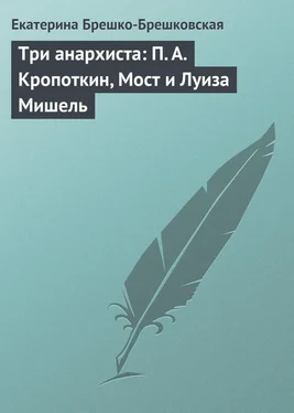 Екатерина Брешко-Брешковская Три анархиста: П. А. Кропоткин, Мост и Луиза Мишель обложка книги