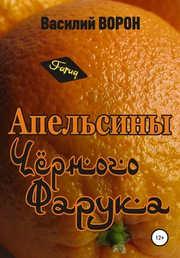 Василий Ворон Апельсины Черного Фарука обложка книги