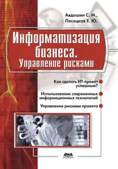 Елена Песоцкая - Информатизация бизнеса. Управление рисками