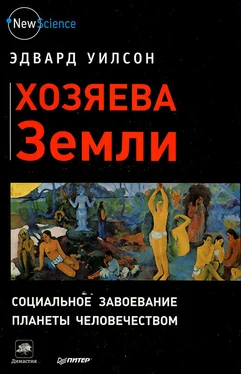 Эдвард Уилсон Хозяева Земли обложка книги