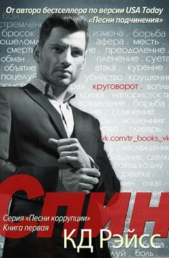 К. Рэйсс Спин обложка книги