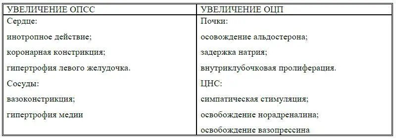 Белки РААС и их генетические детерминанты Интегральная система регуляции АД - фото 2