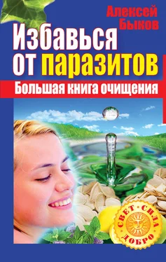 Алексей Быков Избавься от паразитов. Большая книга очищения обложка книги