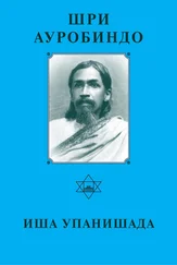 Шри Ауробиндо - Шри Аурбиндо. Иша Упанишада