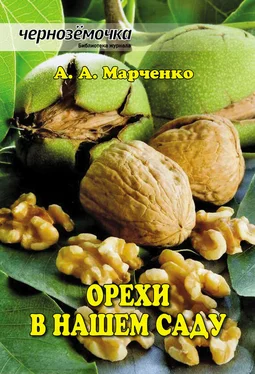 Андрей Марченко Орехи в нашем саду обложка книги