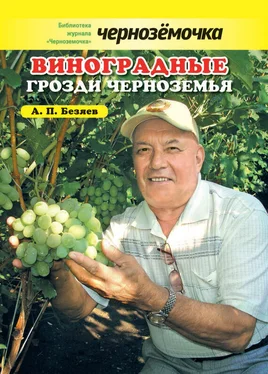 Анатолий Безяев Виноградные грозди Черноземья обложка книги