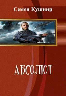 Семён Кушнир Абсолют (СИ) обложка книги