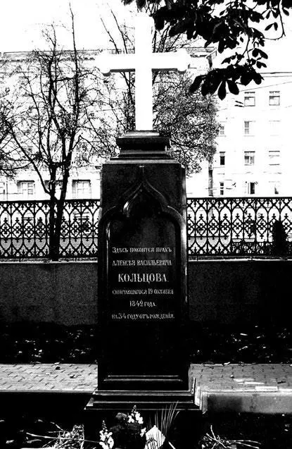 Новостроящееся кладбище В Воронеже на углу улиц Моисеева и 20летия Октября - фото 1