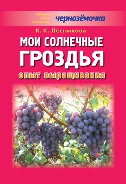 К. Лесникова Мои солнечные гроздья. Опыт выращивания обложка книги
