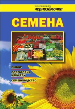 А. Панкратова Семена. Выбор, подготовка к посеву, семеноводство обложка книги