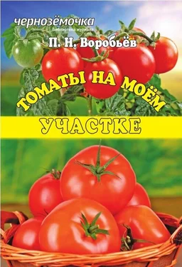 Петр Воробьев Томаты на моем участке обложка книги