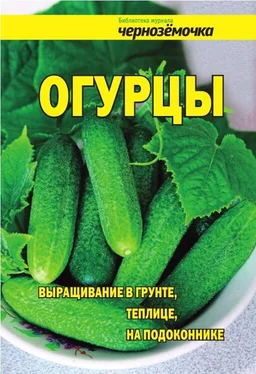 А. Панкратова Огурцы. Выращивание в грунте, теплице, на подоконнике обложка книги
