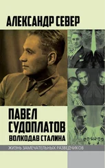 Александр Север - Павел Судоплатов. Волкодав Сталина