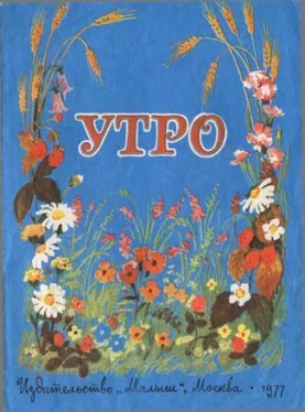 Елена Благинина Утро обложка книги