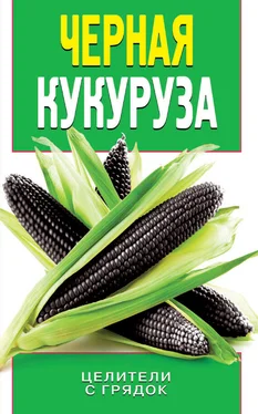 Ольга Яковлева Черная кукуруза обложка книги