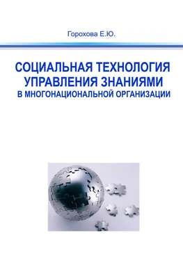 Евгения Горохова Социальная технология управления знаниями в многонациональной организации обложка книги