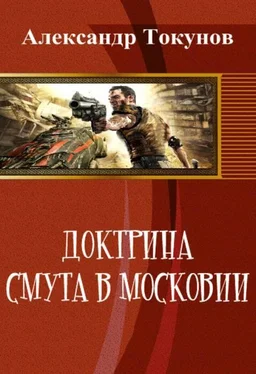 Александр Токунов Доктрина: Смута в Московии (СИ) обложка книги