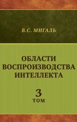 Валириан Мигаль - Области воспроизводства интеллекта. Том 3