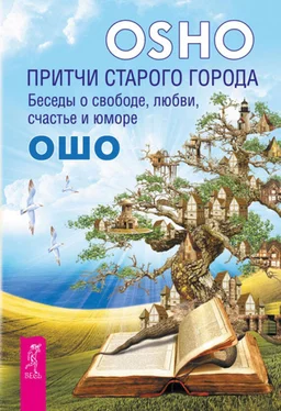 Бхагаван Раджниш (Ошо) Притчи старого города. Беседы о свободе, любви, счастье и юморе обложка книги