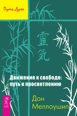 Дон Меллоушип Движение к свободе: путь к просветлению обложка книги