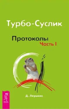 Дмитрий Леушкин Турбо-Суслик. Протоколы. Часть I обложка книги