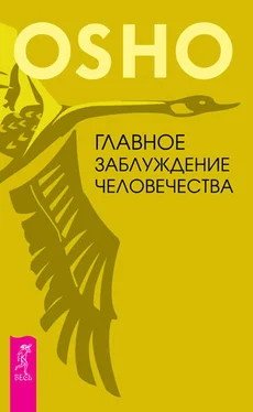 Бхагаван Раджниш (Ошо) Главное заблуждение человечества обложка книги