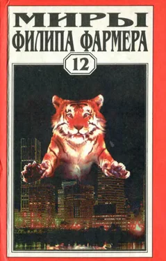 Филип Фармер Т. 12. ЭКЗОРЦИЗМ. Образ Зверя. Апофеоз обложка книги