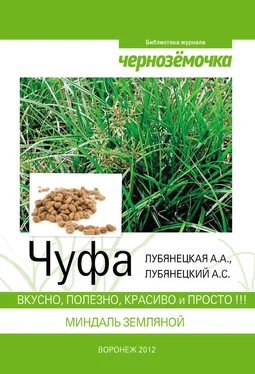 А. Лубянецкий Чуфа. Вкусно, полезно, красиво и просто обложка книги