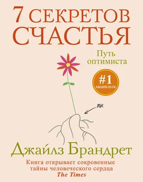 Джайлз Брандрет 7 секретов счастья. Путь оптимиста обложка книги