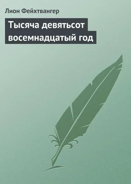 Лион Фейхтвангер Тысяча девятьсот восемнадцатый год обложка книги