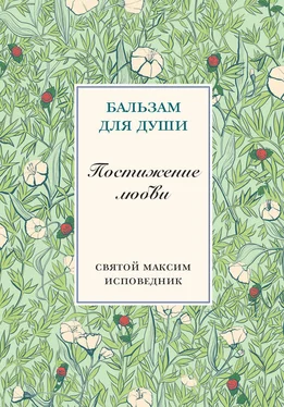 Преподобный Максим Исповедник Постижение любви обложка книги