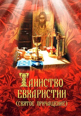Сергей Милов Таинство Евхаристии (Святое Причащение) обложка книги