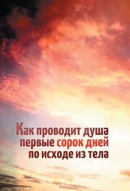 Леонид Денисов Как проводит душа первые сорок дней по исходе из тела обложка книги