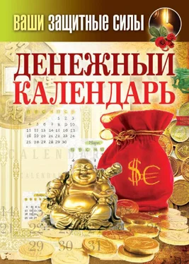 Сергей Кашин Ваши защитные силы. Денежный календарь обложка книги