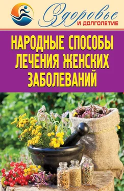 Елена Смирнова Народные способы лечения женских заболеваний обложка книги