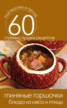 Сергей Кашин Глиняные горшочки. Блюда из мяса и птицы обложка книги