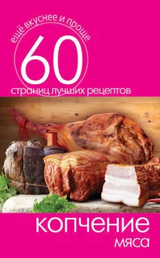 Сергей Кашин Копчение мяса обложка книги